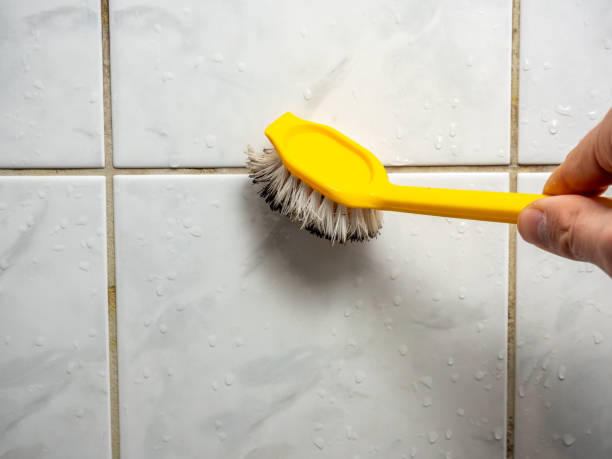 Best Kitchen Mold Remediation in Mendota, IL