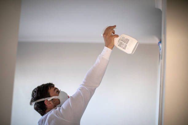 Reliable Mendota, IL Mold Remediation Solutions